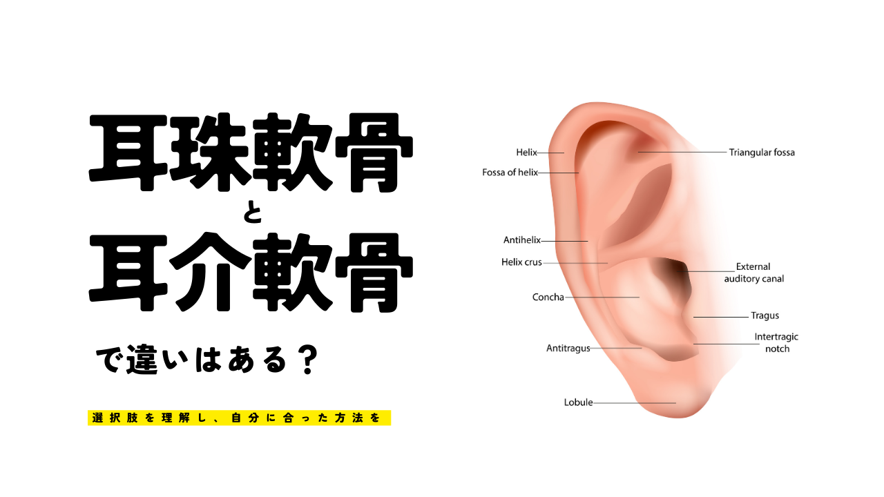 耳珠軟骨と耳介軟骨で違いはある？