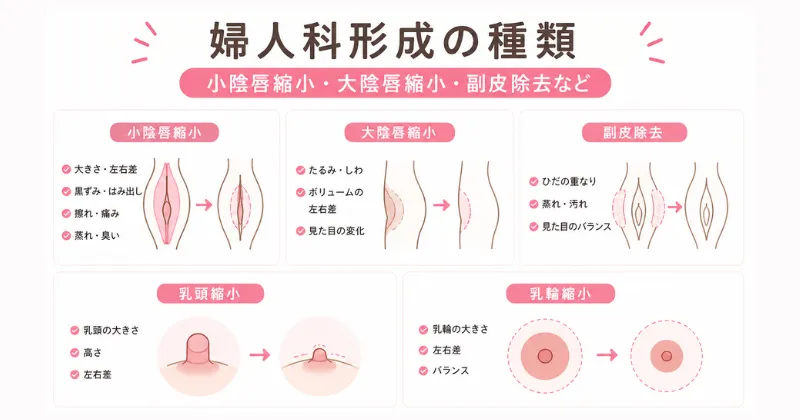 婦人科形成の種類｜小陰唇縮小・大陰唇縮小・副皮除去など