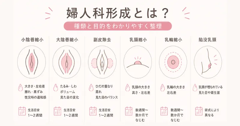 婦人科形成とは？種類と目的をわかりやすく整理