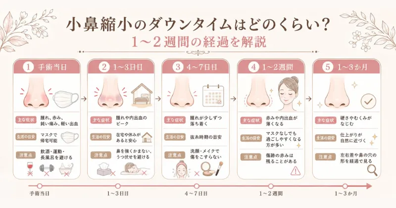 小鼻縮小のダウンタイムはどのくらい?1〜2週間の経過を解説