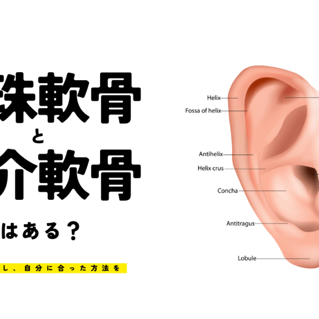 耳珠軟骨と耳介軟骨で違いはある？