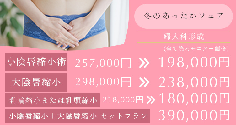 冬のあったかフェア 小陰唇縮小術 257,000円→198,000円 大陰唇縮小 298,000円→238,000円 乳頭縮小または乳輪縮小　218,000円→180,000円 小陰唇縮小＋大陰唇縮小セットプラン 390,000円